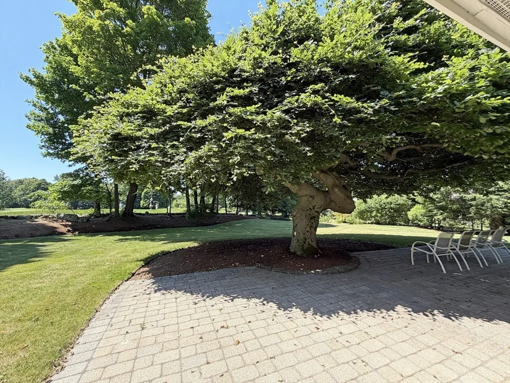 3 bed, 3 bath apartment for rent at 37 Stephen Pl, Oak Hill — photo 37 of 42