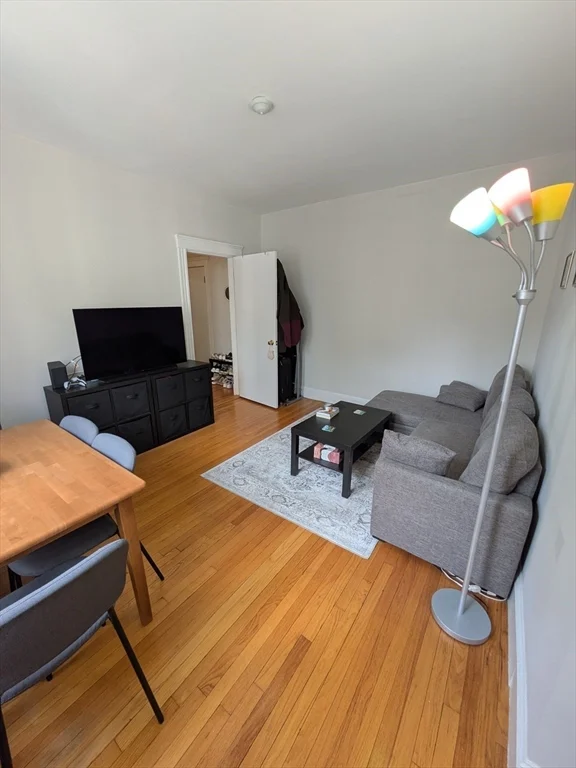 1 bed, 1 bath apartment for rent at 370 Chestnut Hill Ave Unit 34, Brighton — photo 11 of 13