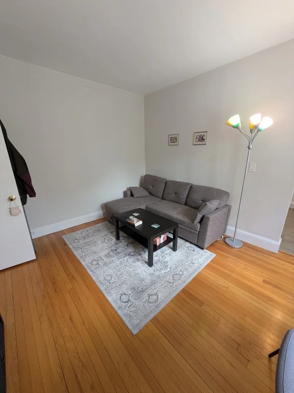 1 bed, 1 bath apartment for rent at 370 Chestnut Hill Ave Unit 34, Brighton — photo 2 of 13
