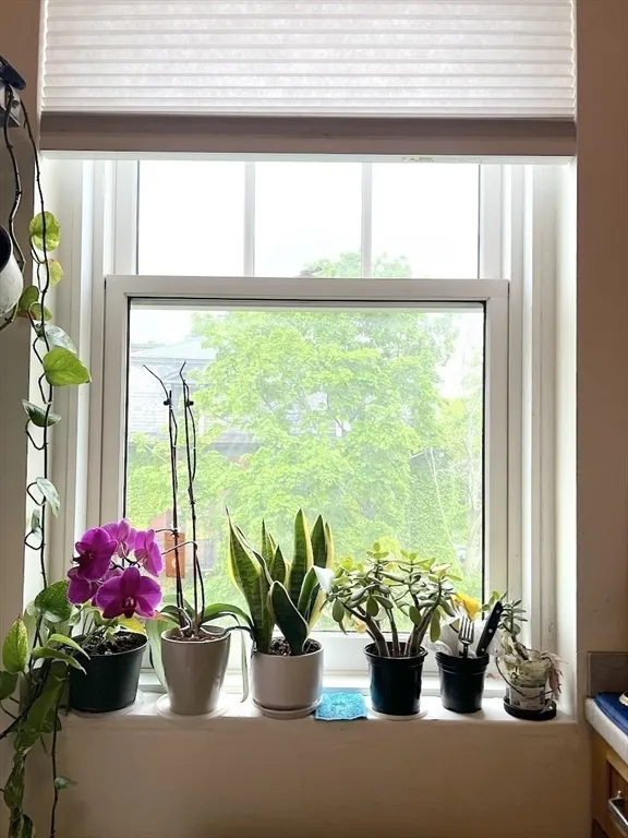 1 bed, 1 bath apartment for rent at 371 Harvard St Unit 3C, Mid-Cambridge — photo 6 of 27