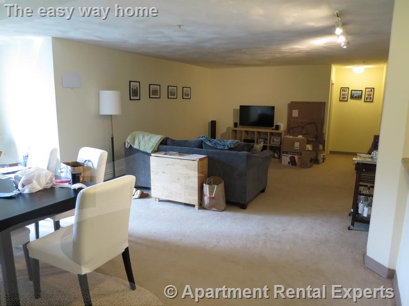 2 bed, 2 bath apartment for rent at 373 Highland Ave Unit 211, Davis Square — photo 3 of 14