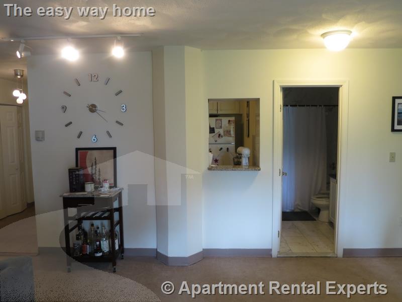 2 bed, 2 bath apartment for rent at 373 Highland Ave Unit 211, Davis Square — photo 5 of 14