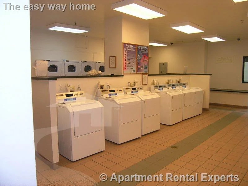 3 bed, 2 bath apartment for rent at 373 Highland Ave Unit 314, Davis Square — photo 5 of 11