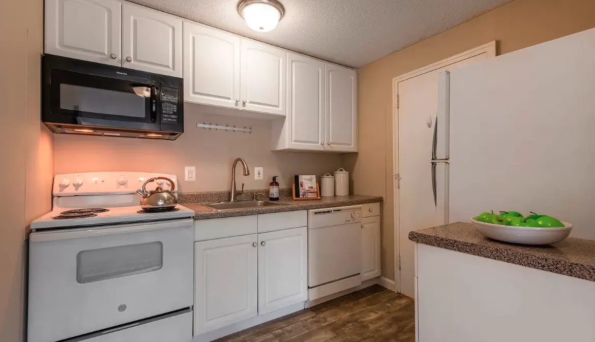 1 bed, 1 bath apartment for rent at 375 Harvard St Unit 16A, Mid-Cambridge — photo 2 of 10