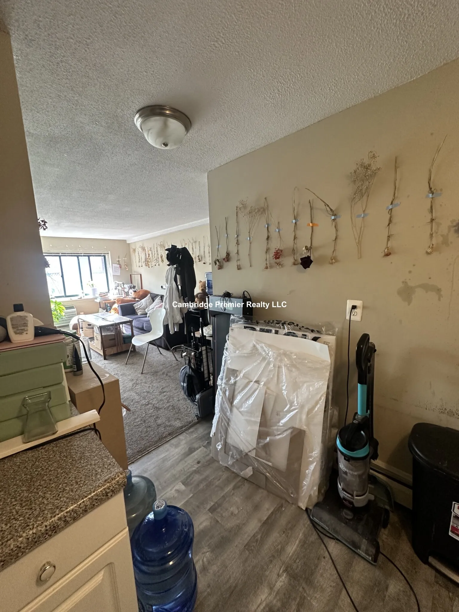 2 bed, 1 bath apartment for rent at 375 Harvard St Unit 20, Mid-Cambridge — photo 6 of 29