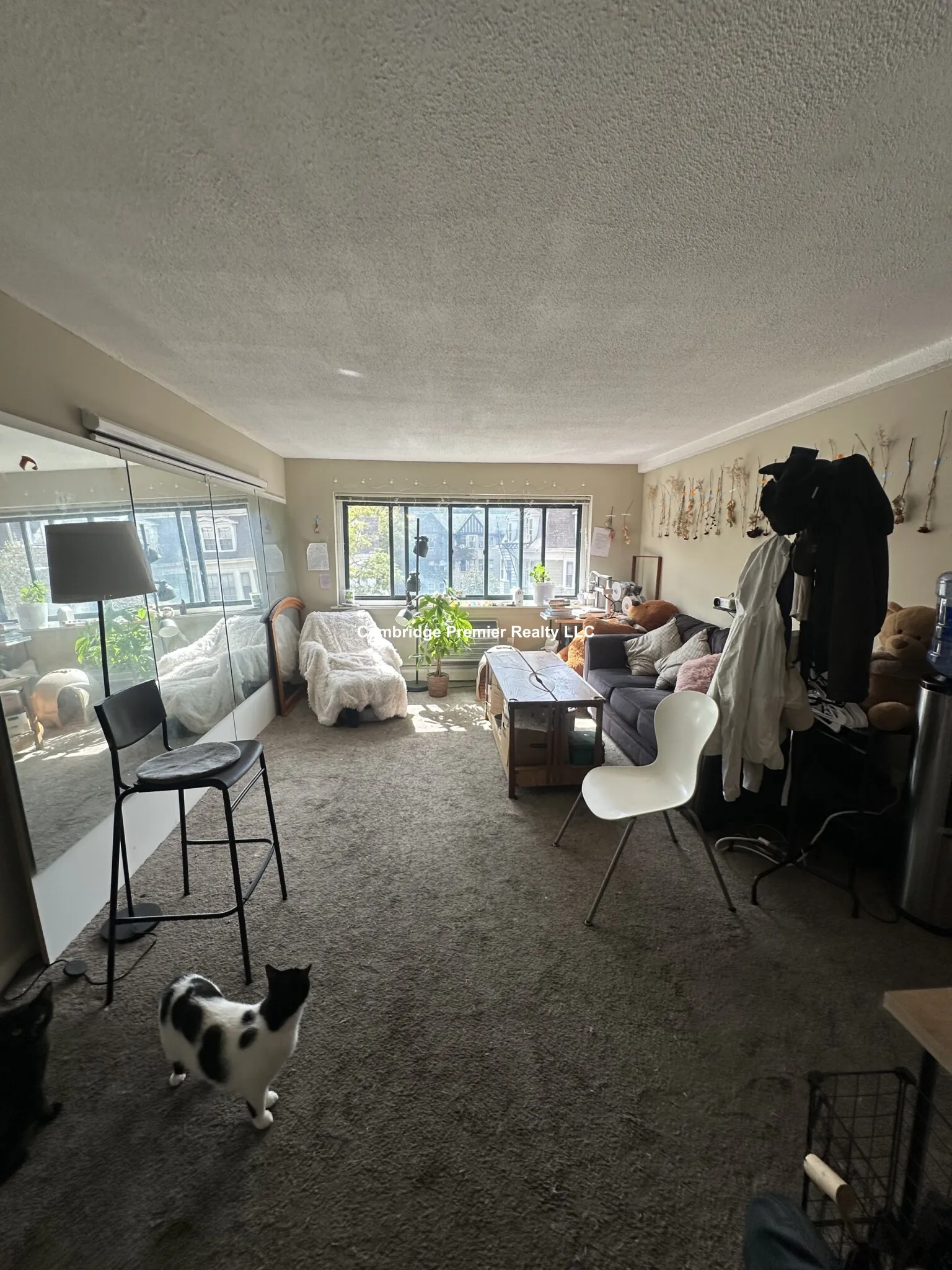 2 bed, 1 bath apartment for rent at 375 Harvard St Unit 20, Mid-Cambridge — photo 7 of 29