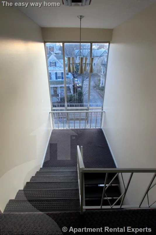 1 bed, 1 bath apartment for rent at 375 Harvard St Unit 22A, Harvard Square — photo 4 of 6