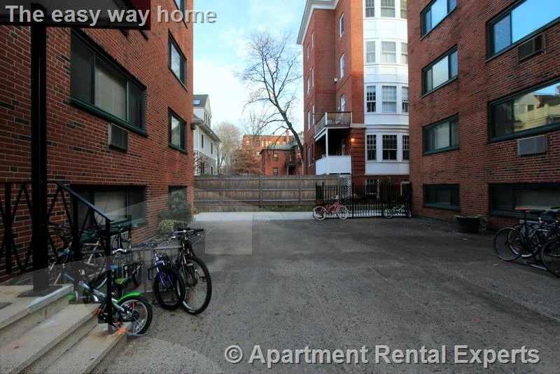 1 bed, 1 bath apartment for rent at 375 Harvard St Unit 22A, Harvard Square — photo 6 of 6