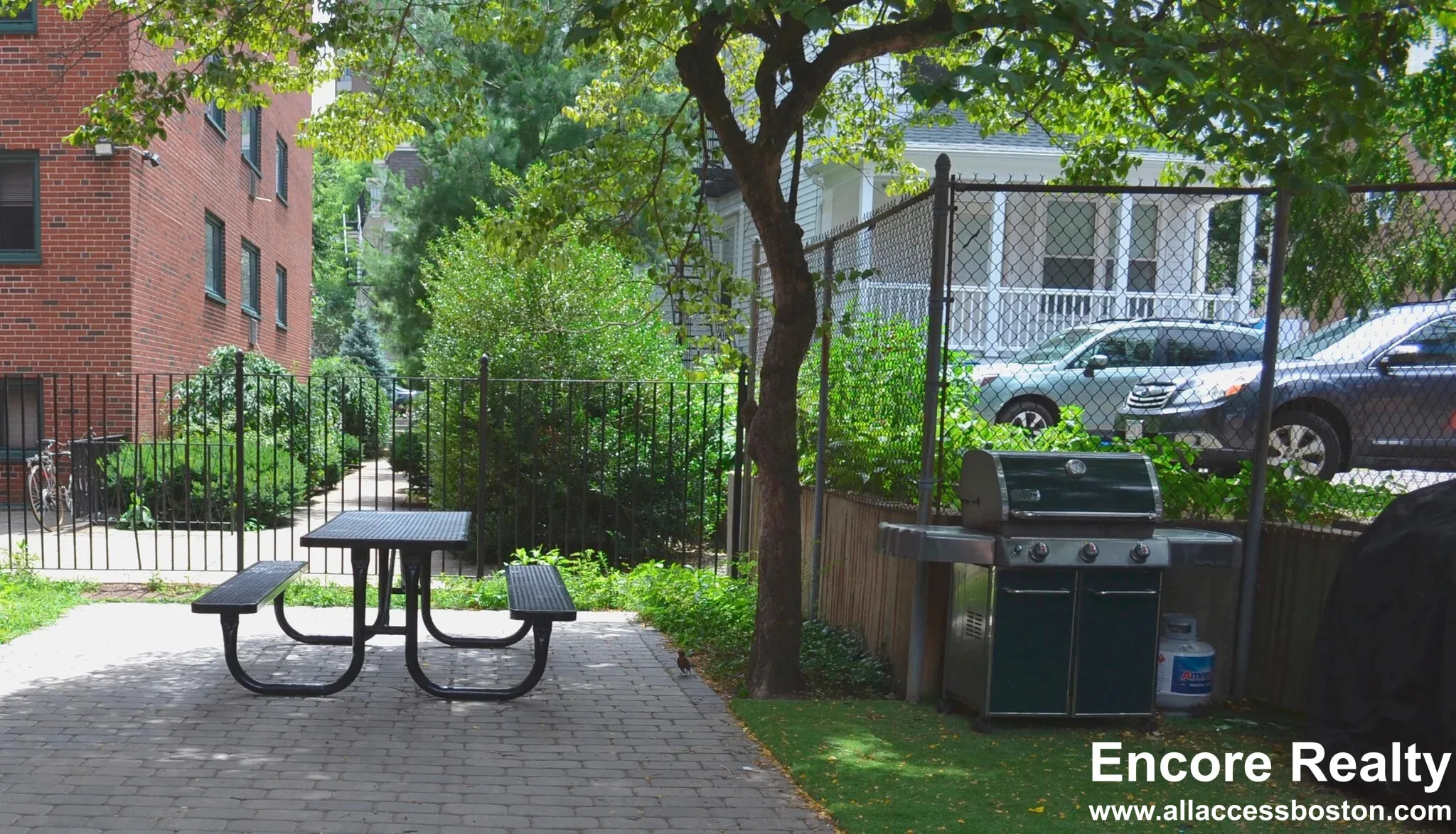 2 bed, 1 bath apartment for rent at 375 Harvard St Unit 25A, Mid-Cambridge — photo 4 of 8