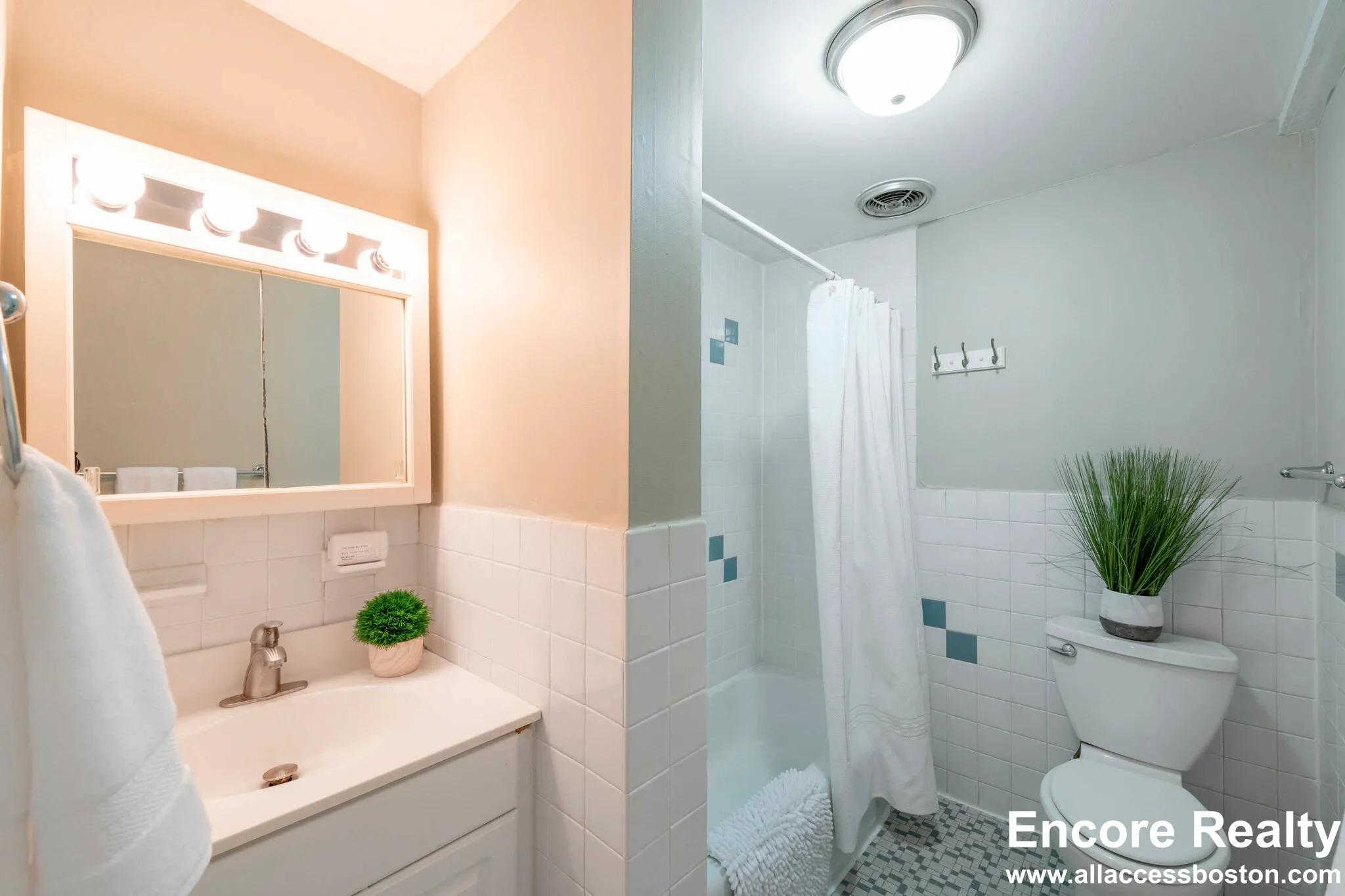 2 bed, 1 bath apartment for rent at 375 Harvard St Unit 25A, Mid-Cambridge — photo 6 of 8