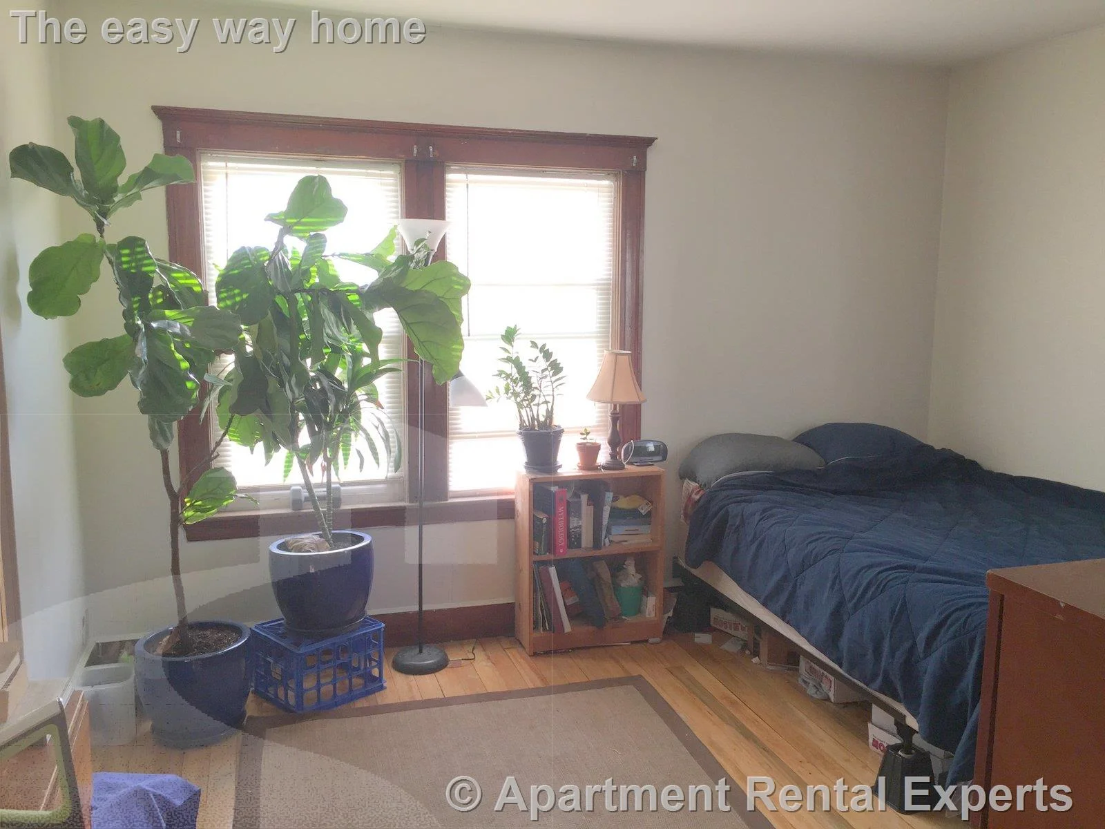 2 bed, 1 bath apartment for rent at 376 Mcgrath Hwy, Union Square — photo 6 of 22