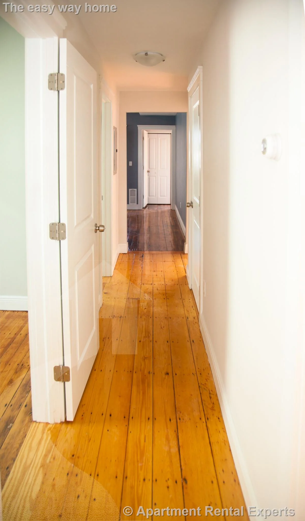5 bed, 1 bath apartment for rent at 376 Prospect St Unit 3, Inman Square — photo 6 of 10