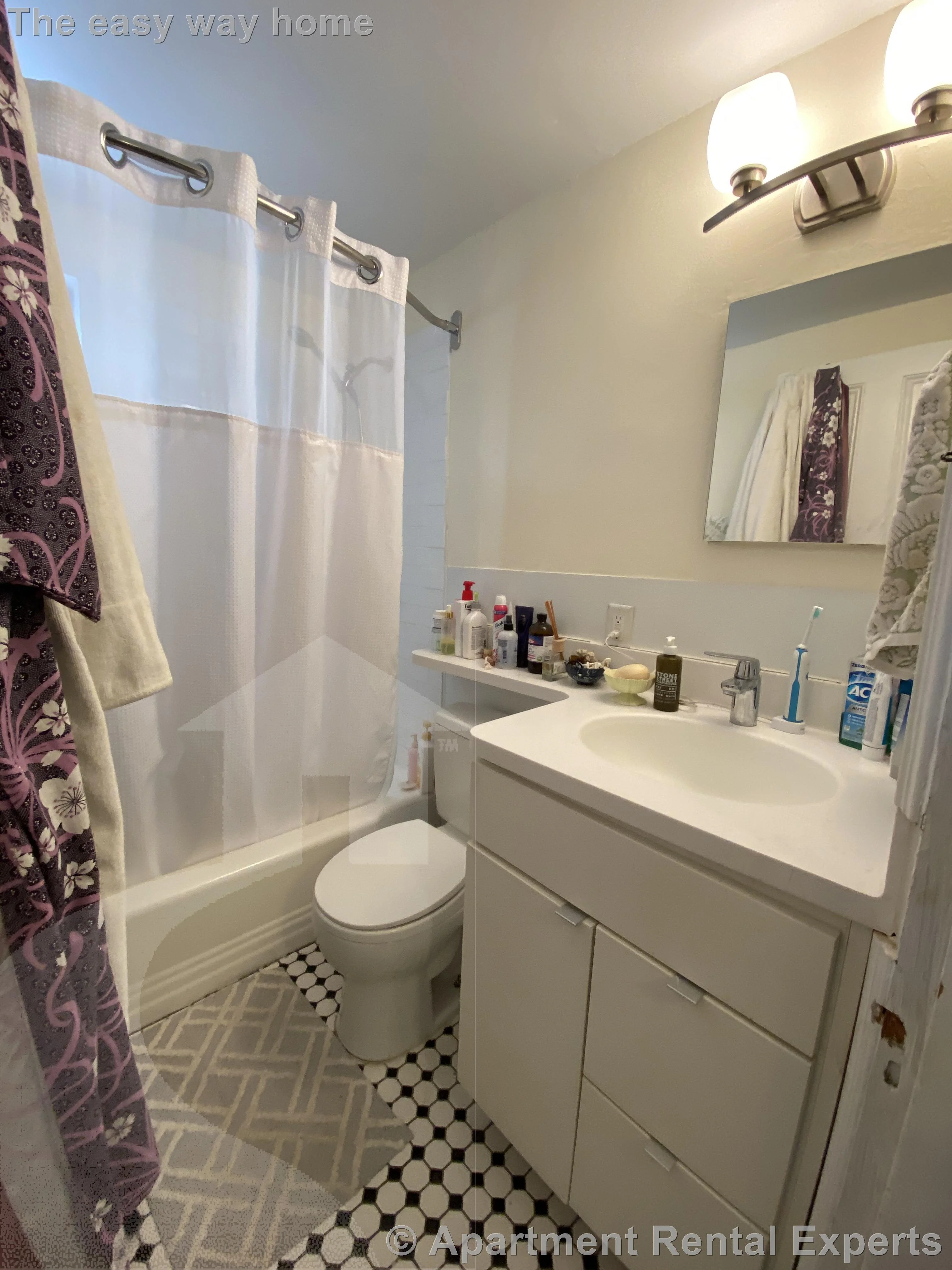 Studio bed, 1 bath apartment for rent at 378 Harvard St Unit 1, Harvard Square — photo 3 of 11