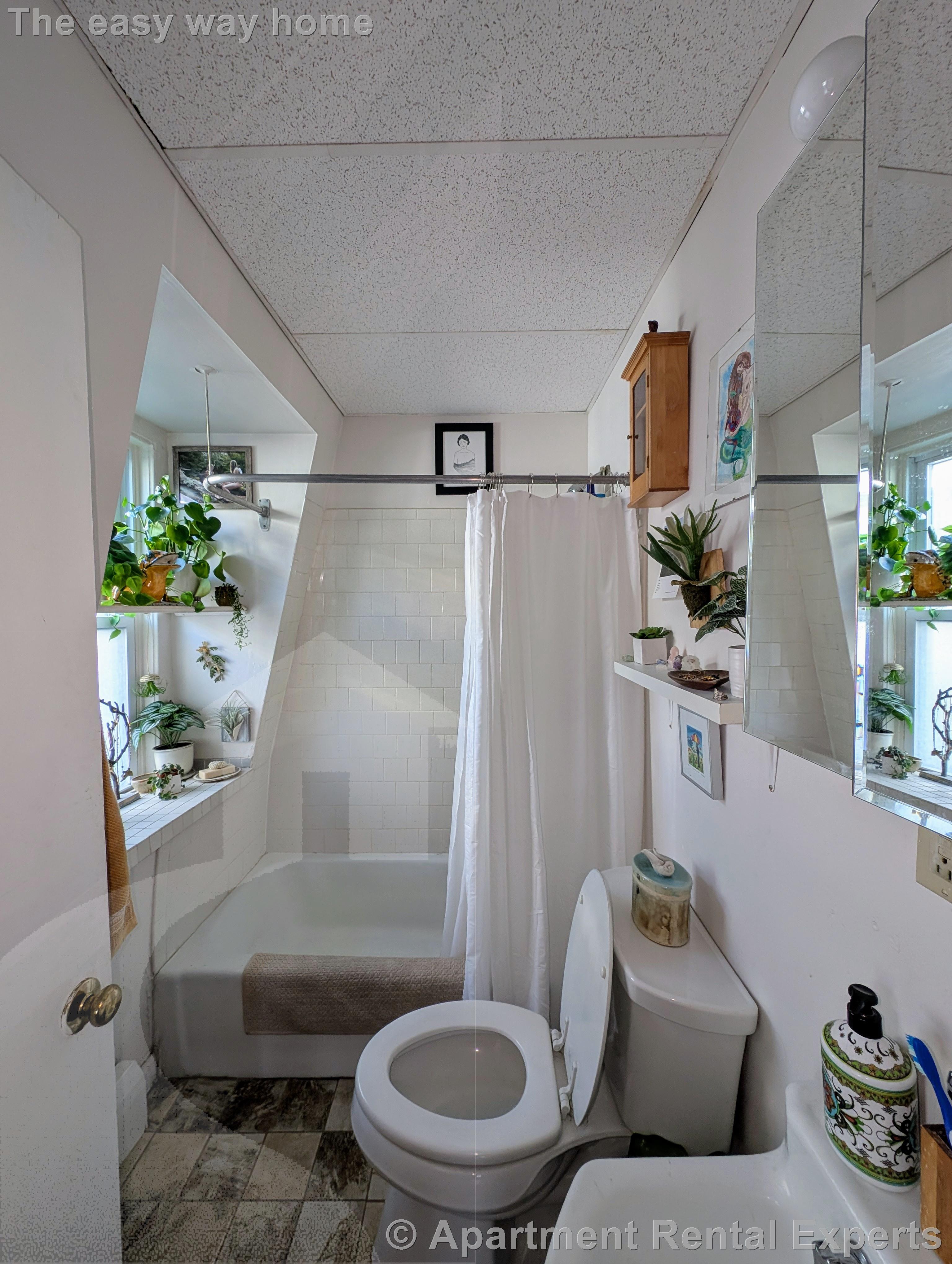 2 bed, 1 bath apartment for rent at 379 Windsor St Unit 3, East Cambridge — photo 14 of 14