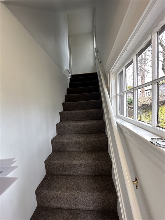 1 bed, 1 bath apartment for rent at 38 Byron St Unit 2, Wakefield — photo 10 of 10