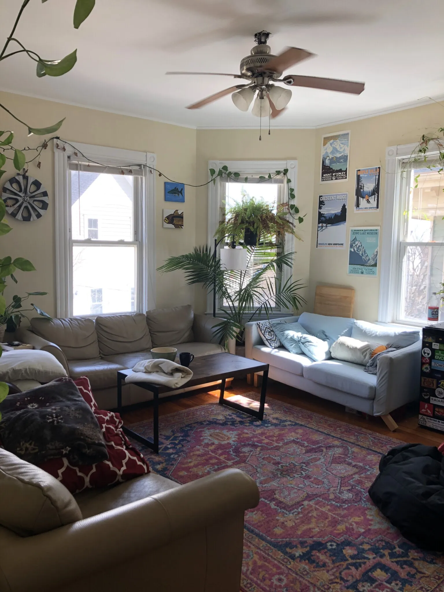 5 bed, 2 bath apartment for rent at 38 Cherokee St Unit 1, Mission Hill