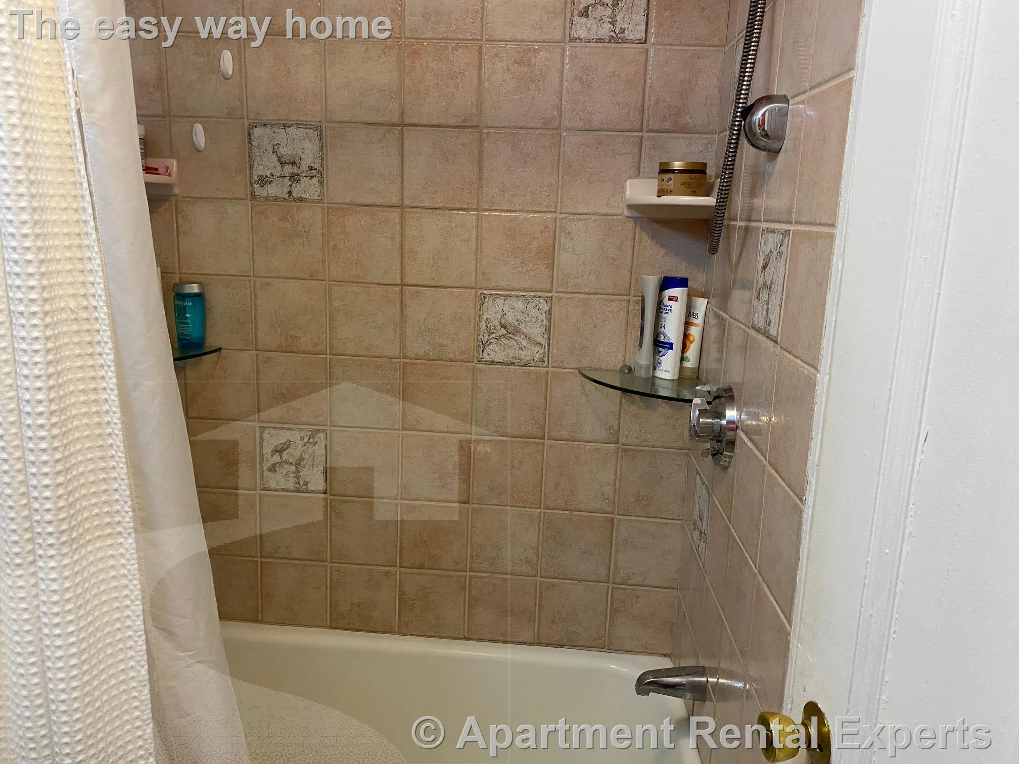 1 bed, 1 bath apartment for rent at 38 Dana St, Harvard Square — photo 9 of 19