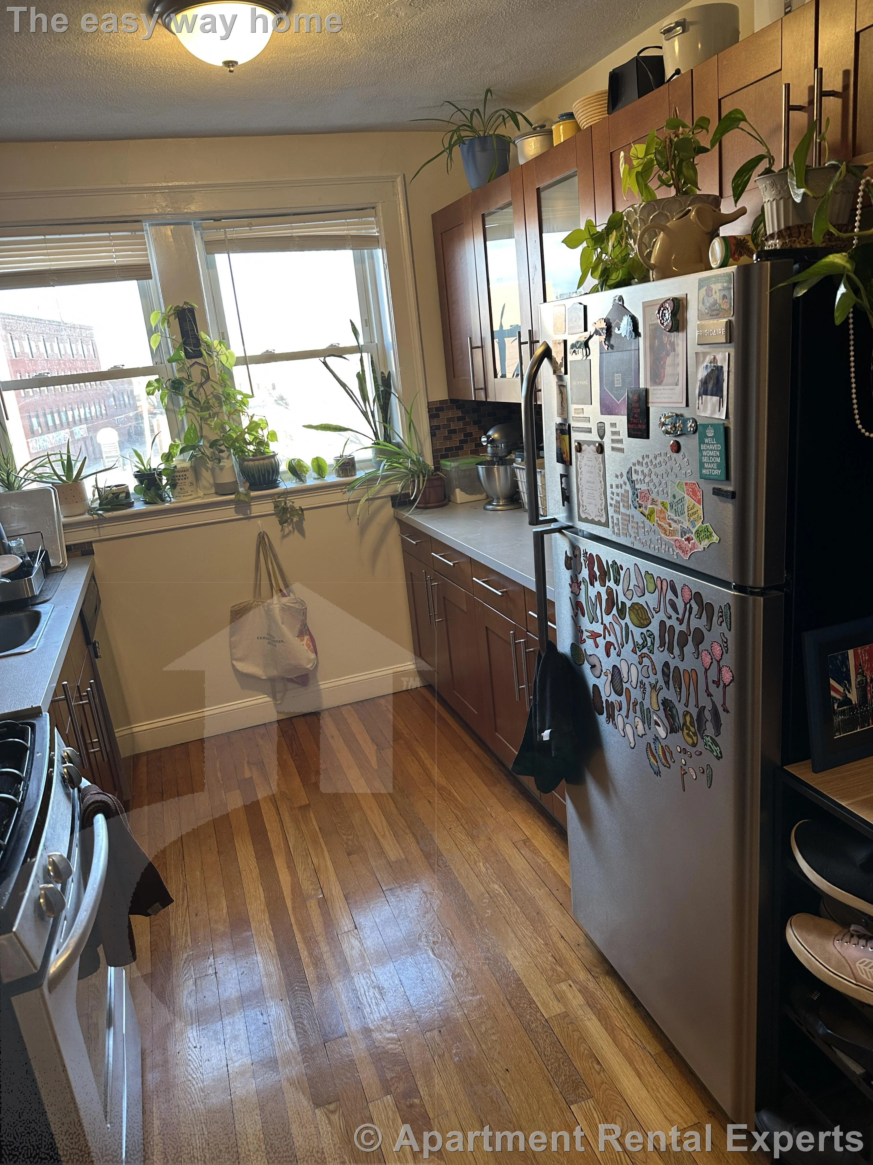 1 bed, 1 bath apartment for rent at 38 Day St Unit 33, Davis Square — photo 2 of 7