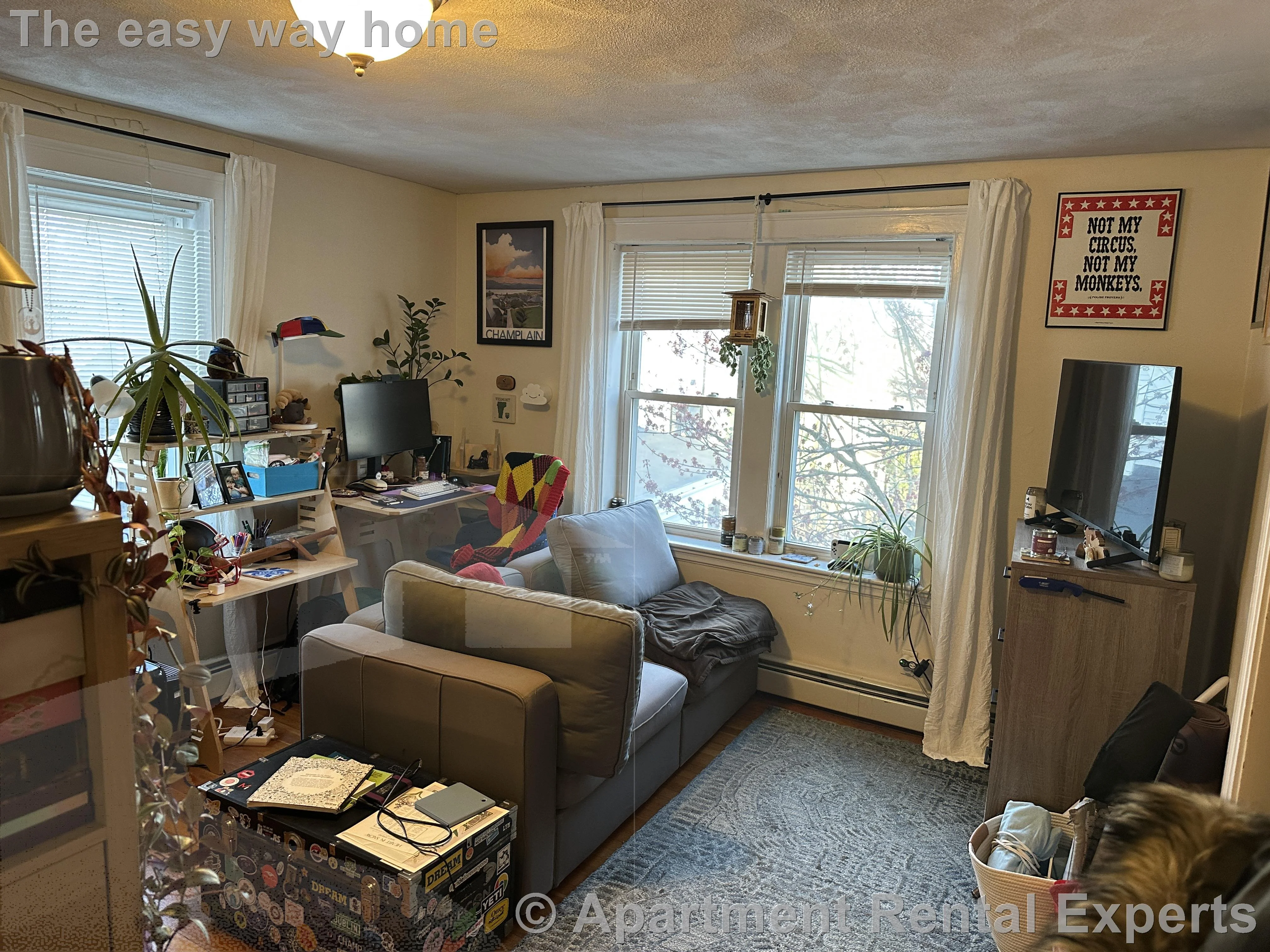 1 bed, 1 bath apartment for rent at 38 Day St Unit 33, Davis Square — photo 3 of 7