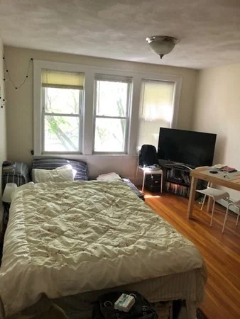 Studio bed, 1 bath apartment for rent at 38 Day St Unit 34, Davis Square — photo 8 of 10