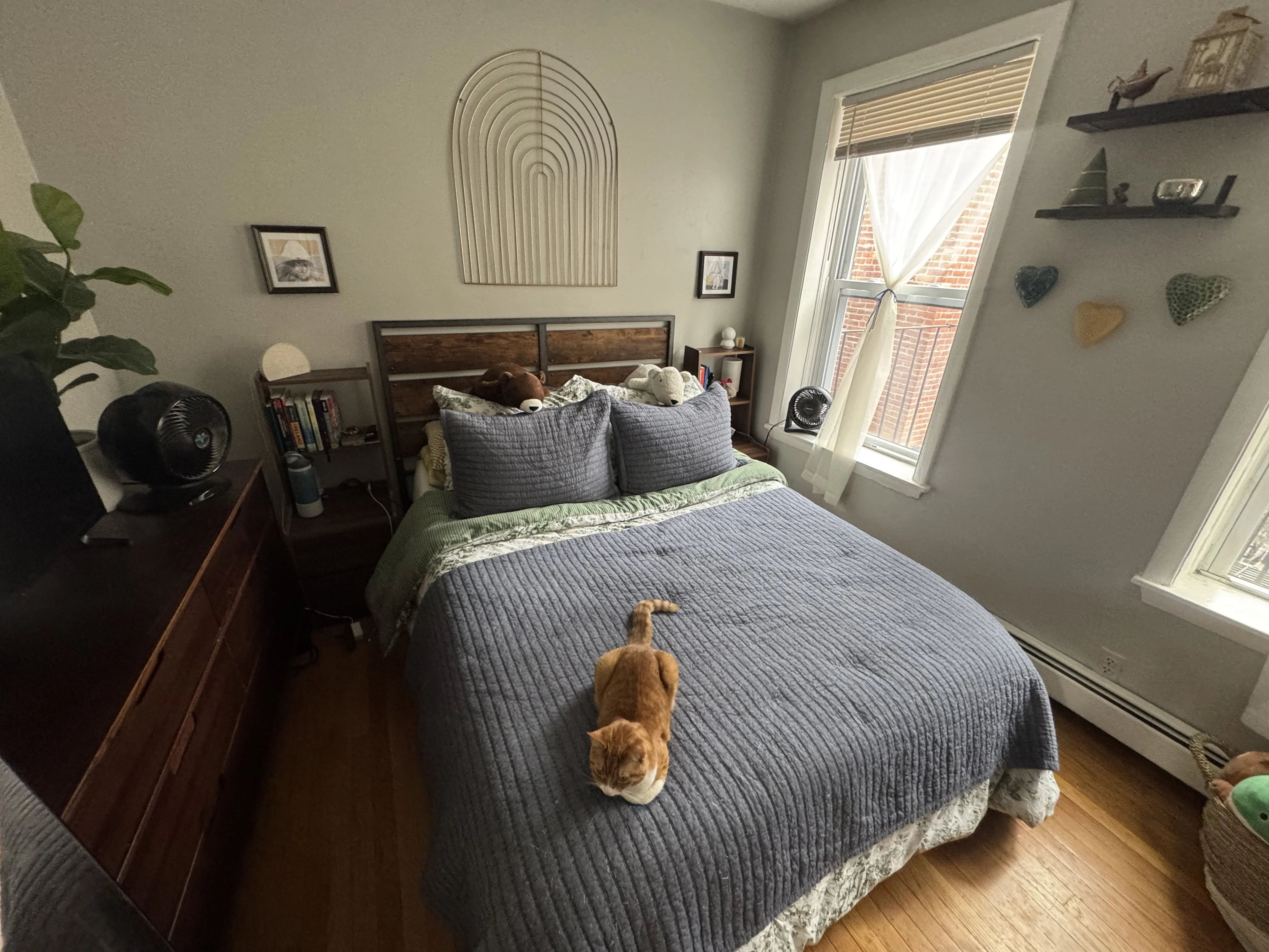 2 bed, 1 bath apartment for rent at 38 Garden St Unit 3, Beacon Hill — photo 7 of 7