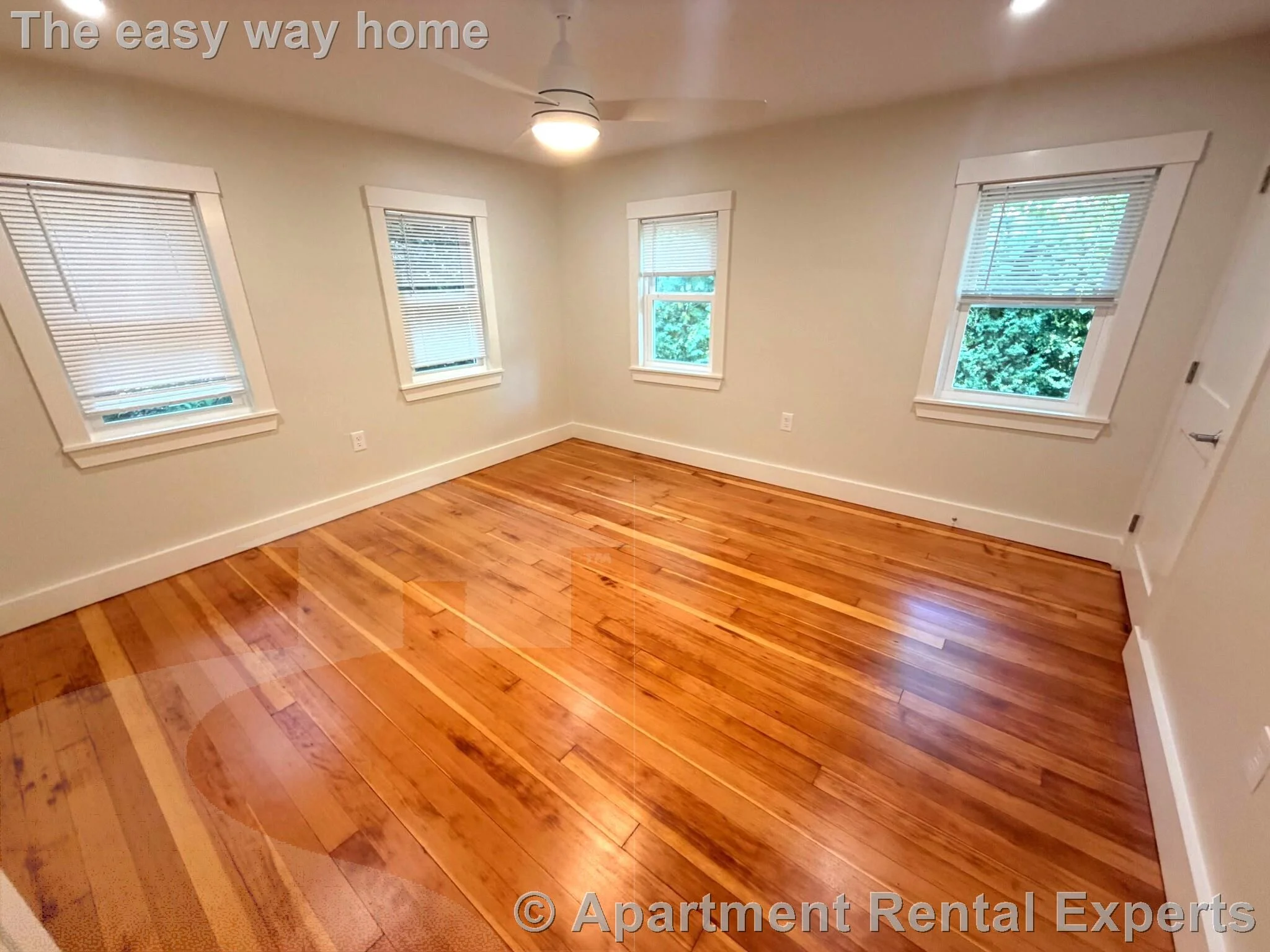 1 bed, 1 bath apartment for rent at 38 Gibson St Unit 3D, Harvard Square — photo 3 of 11