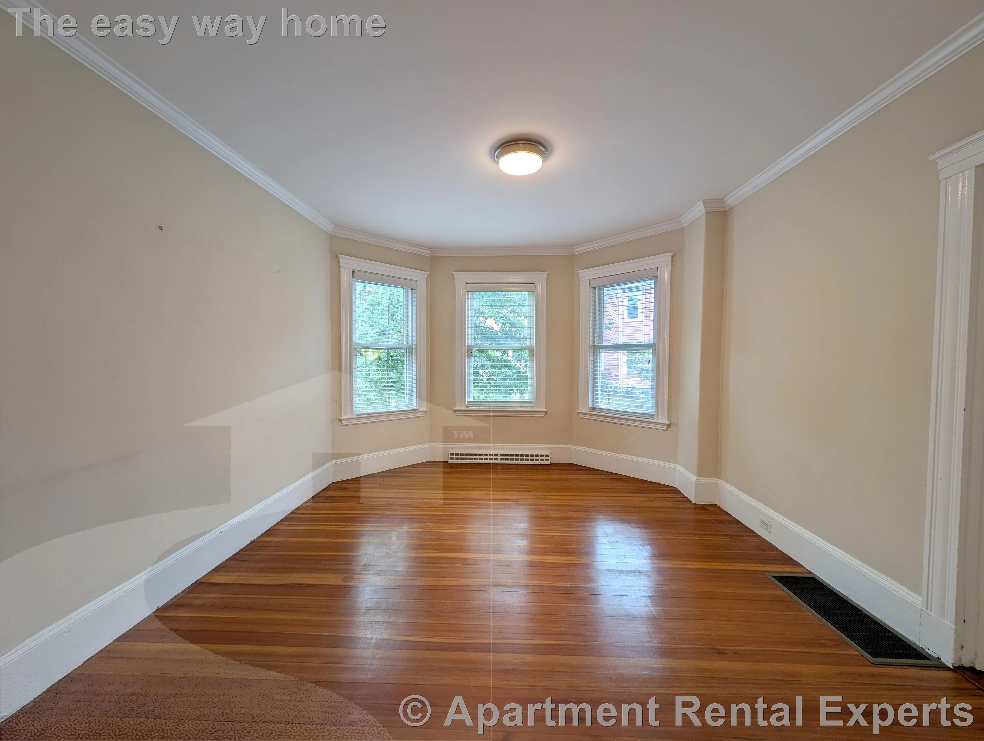 1 bed, 1 bath apartment for rent at 38 Gold Star Rd, Davis Square — photo 5 of 17