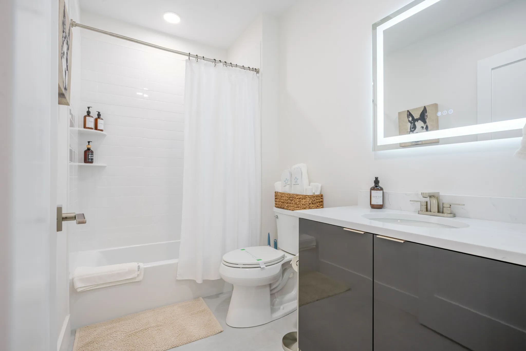 Studio bed, 1 bath apartment for rent at 38 Hichborn St Unit 404, Brighton — photo 16 of 23
