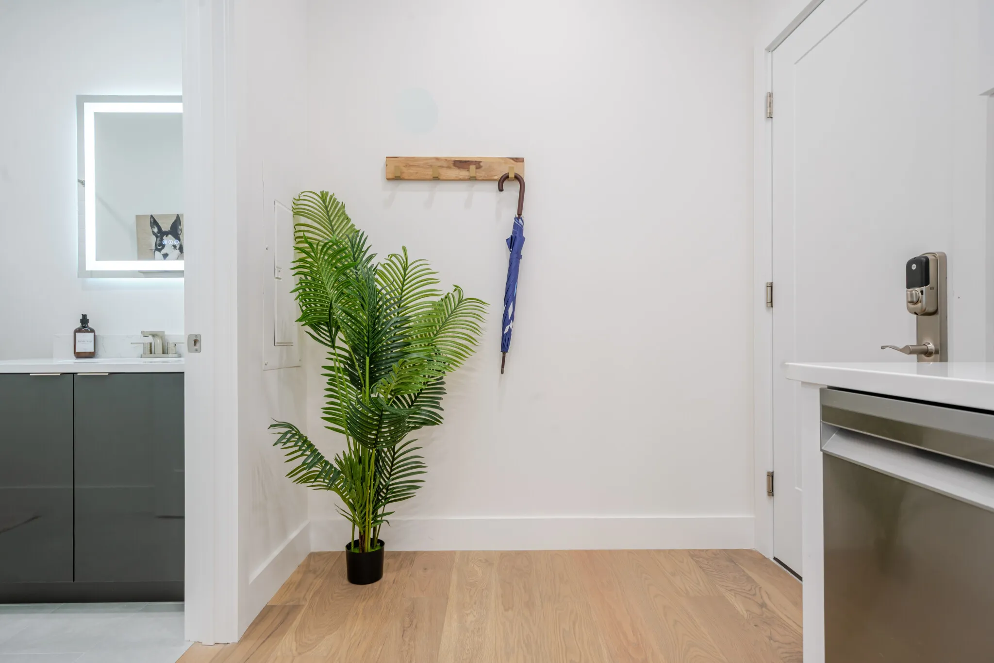 Studio bed, 1 bath apartment for rent at 38 Hichborn St Unit 404, Brighton — photo 13 of 23