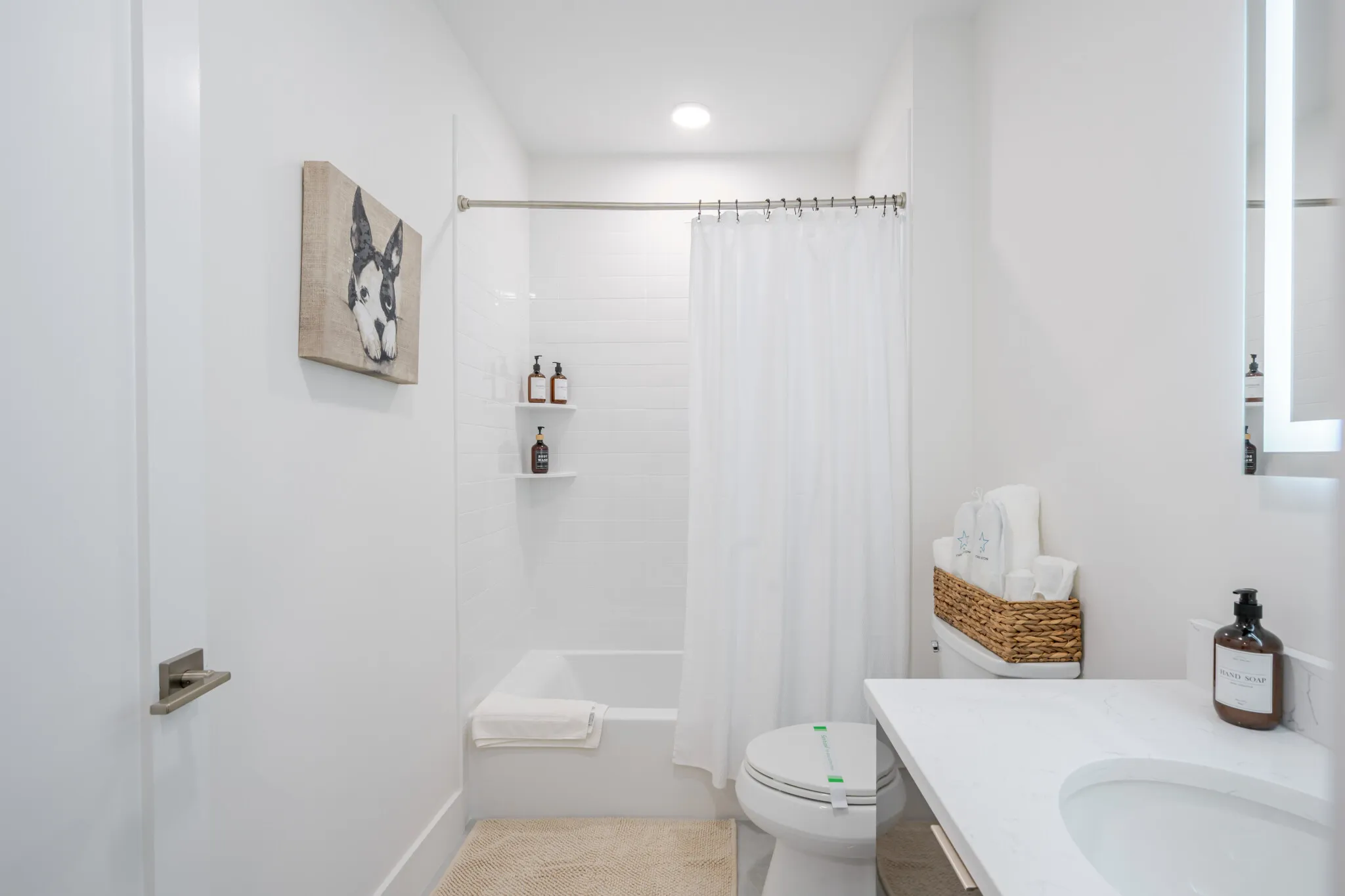 Studio bed, 1 bath apartment for rent at 38 Hichborn St Unit 404, Brighton — photo 15 of 23
