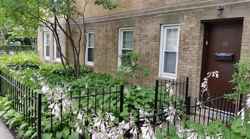 2 bed, 1 bath apartment for rent at 38 Marshal St Unit 1, Coolidge Corner — photo 3 of 6