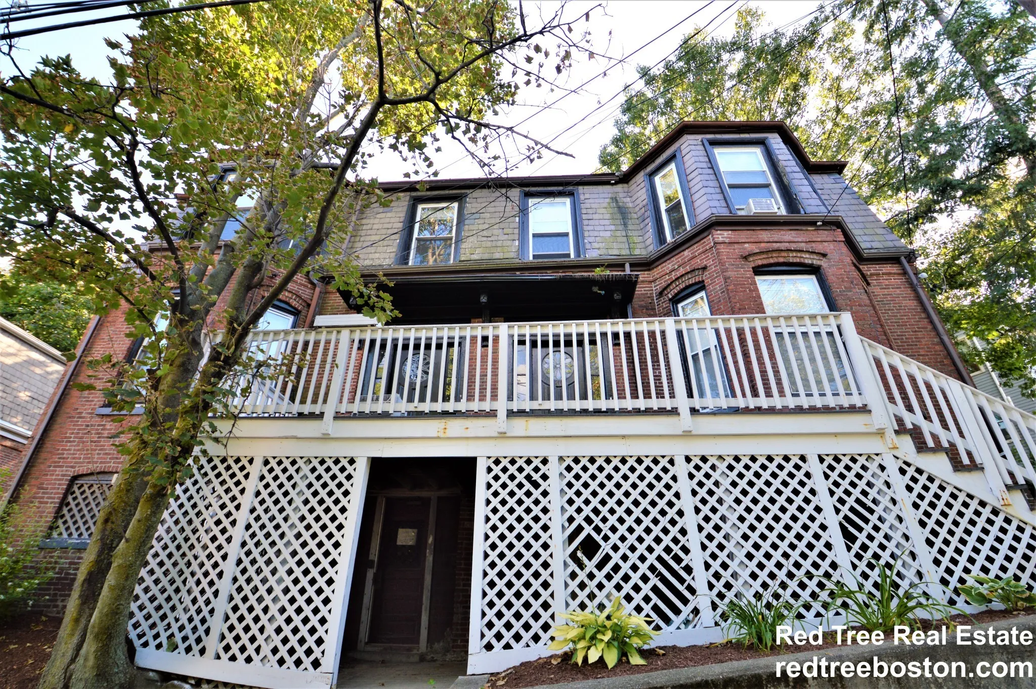 4 bed, 1 bath apartment for rent at 38 Newton St Unit 2, Brighton — photo 20 of 49