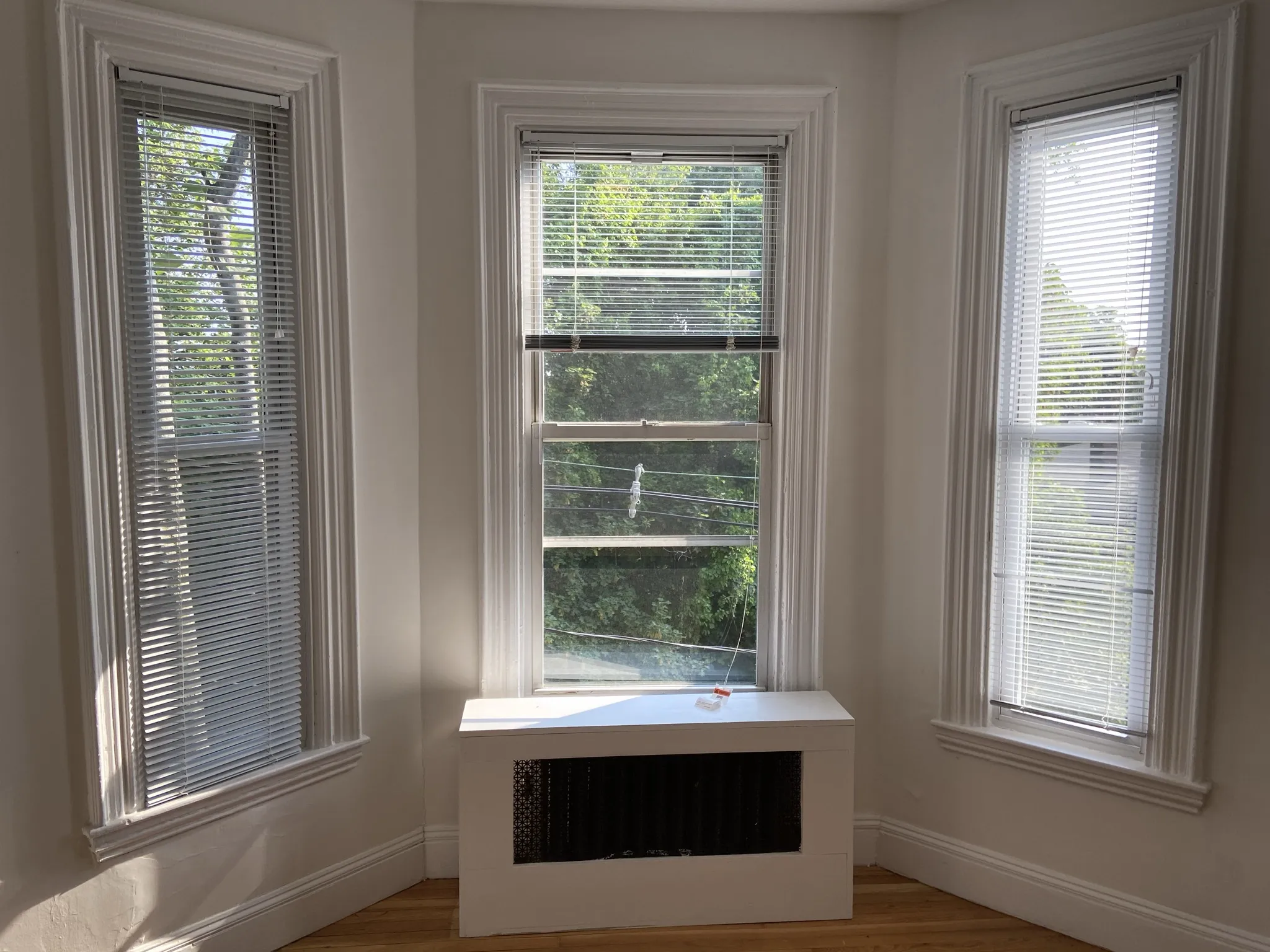 4 bed, 1 bath apartment for rent at 38 Newton St Unit 2, Brighton — photo 34 of 49