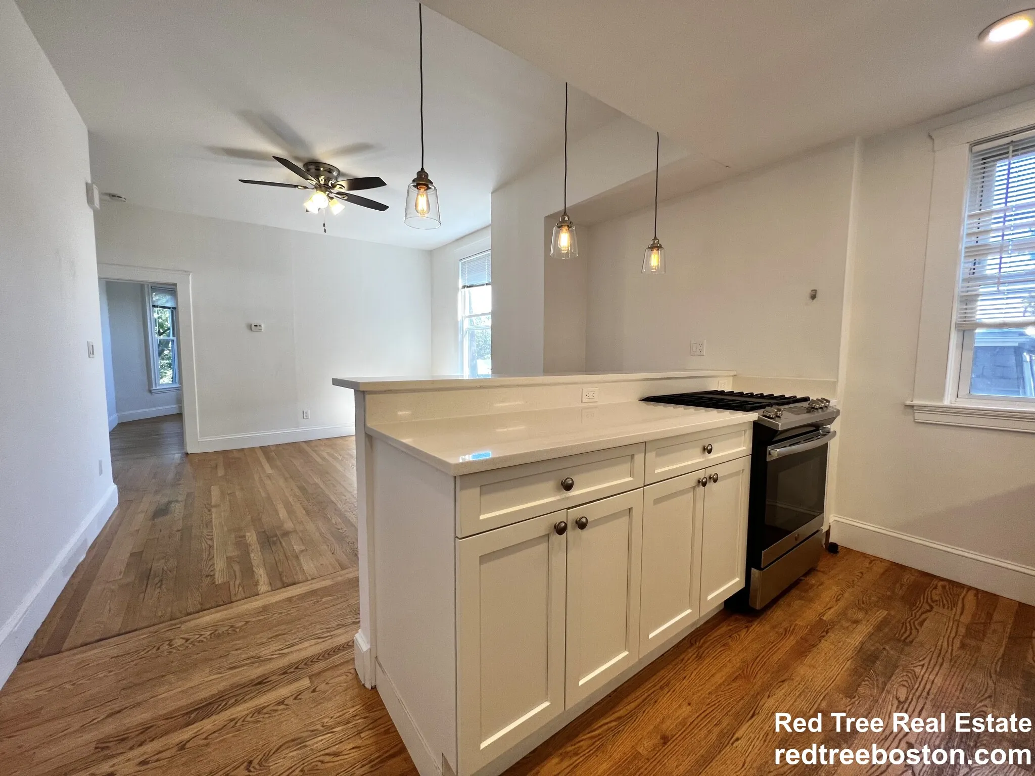 4 bed, 1 bath apartment for rent at 38 Newton St Unit 2, Brighton — photo 3 of 49
