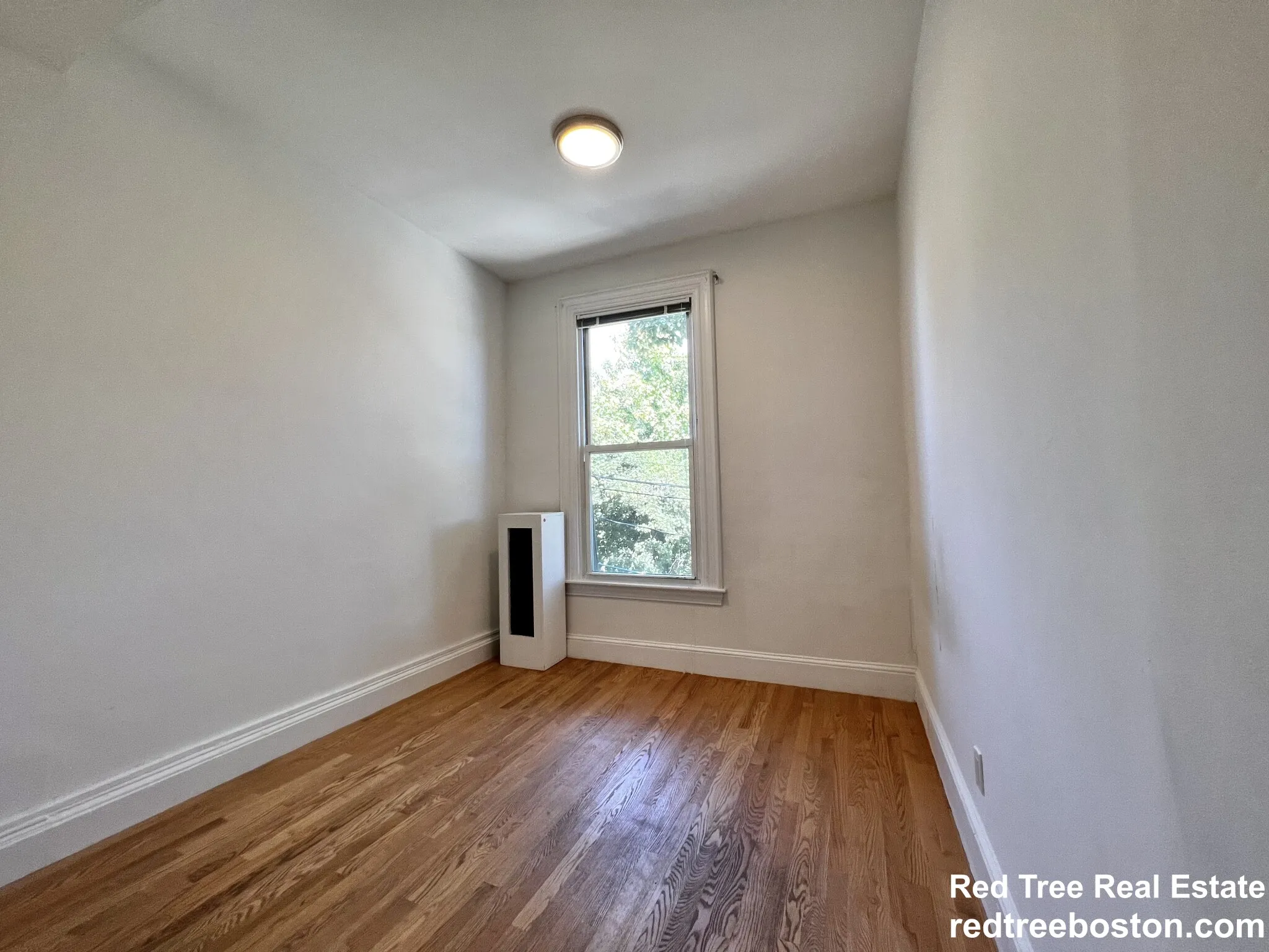 4 bed, 1 bath apartment for rent at 38 Newton St Unit 2, Brighton — photo 11 of 49