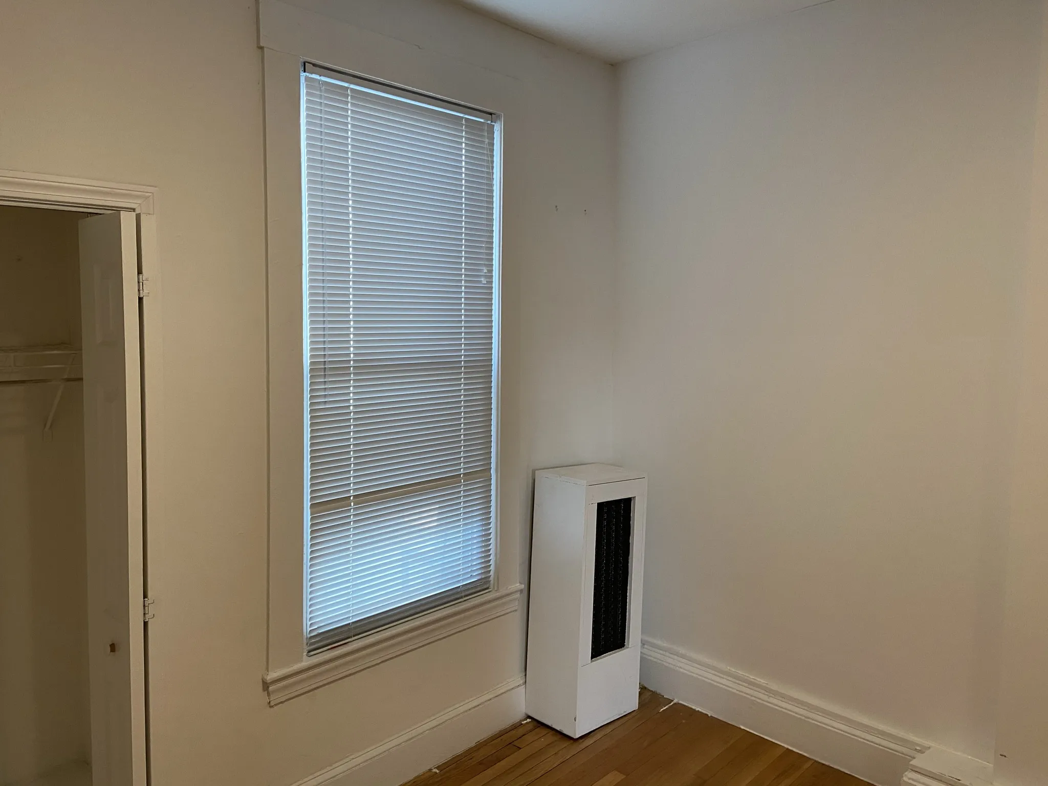 4 bed, 1 bath apartment for rent at 38 Newton St Unit 2, Brighton — photo 41 of 49
