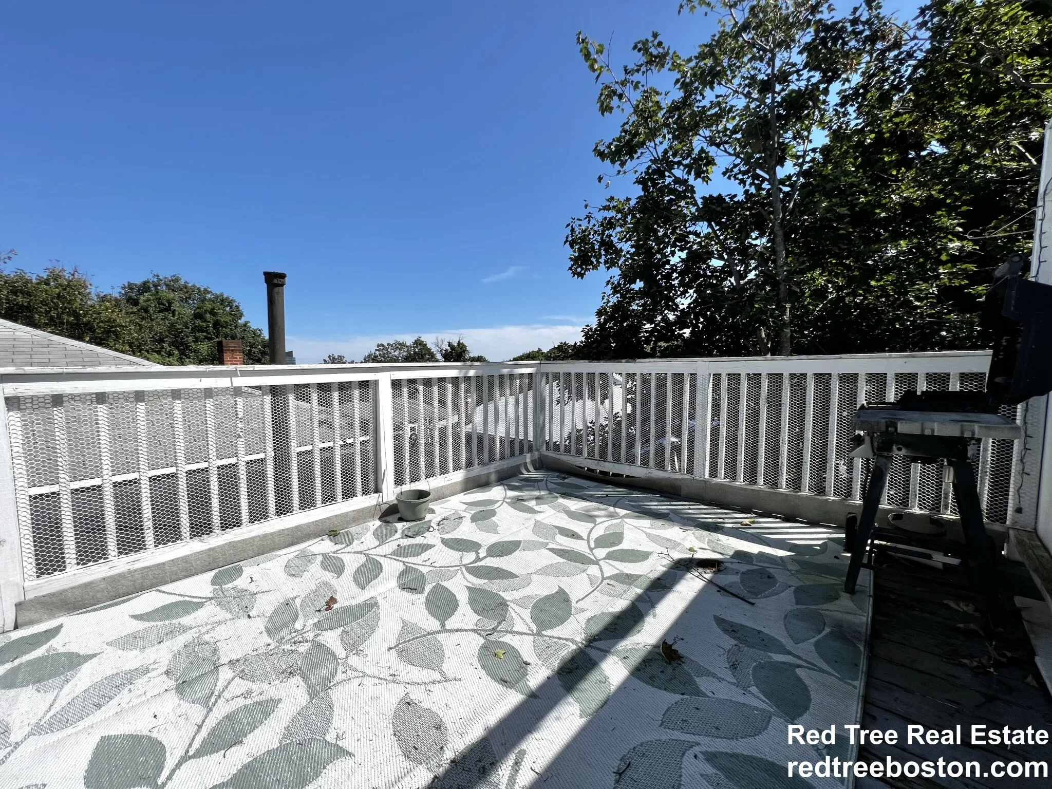 4 bed, 1 bath apartment for rent at 38 Newton St Unit 2, Brighton — photo 15 of 49