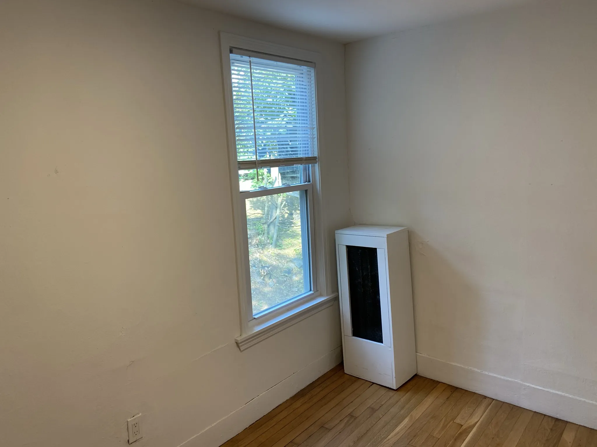 4 bed, 1 bath apartment for rent at 38 Newton St Unit 2, Brighton — photo 37 of 49