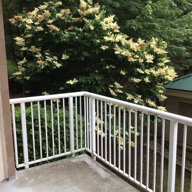 2 bed, 2 bath apartment for rent at 38 Village Rd Unit 213, Middleton — photo 20 of 26