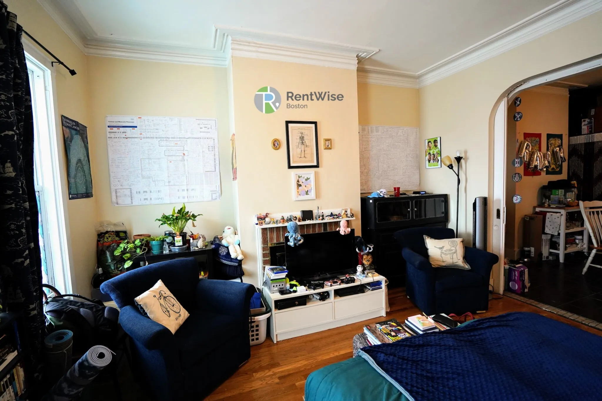 Studio bed, 1 bath apartment for rent at 381 Dorchester St Unit 1A, South Boston — photo 3 of 12