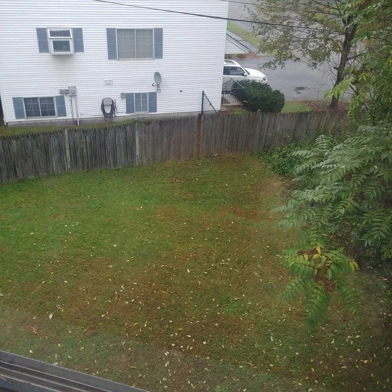 2 bed, 1 bath apartment for rent at 381 Hamilton St Unit 2, East Worcester — photo 11 of 16