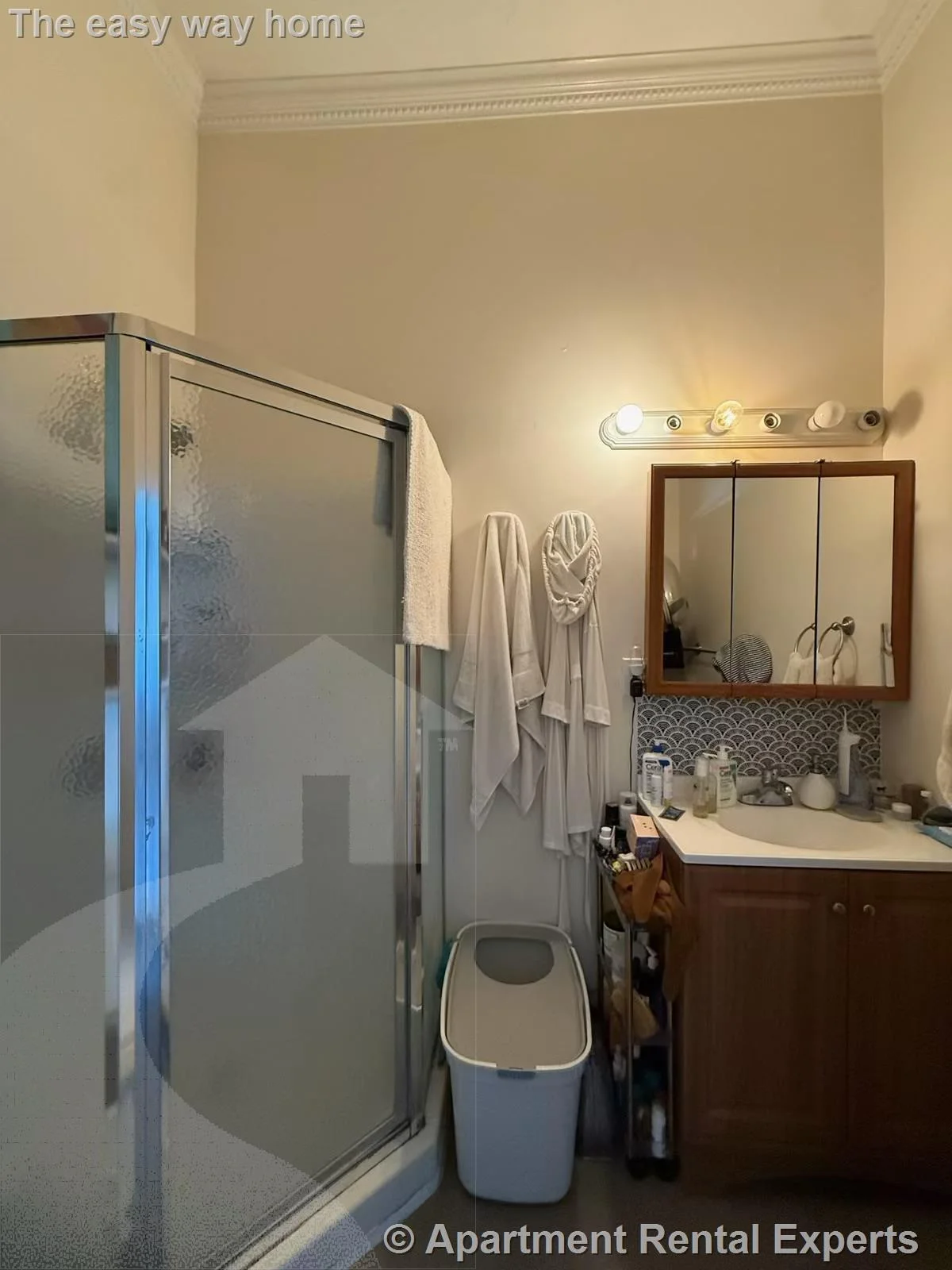 Studio bed, 1 bath apartment for rent at 382 Somerville Ave Unit Rear, Union Square — photo 6 of 9