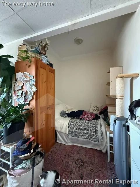 Studio bed, 1 bath apartment for rent at 382 Somerville Ave Unit Rear, Union Square — photo 8 of 9