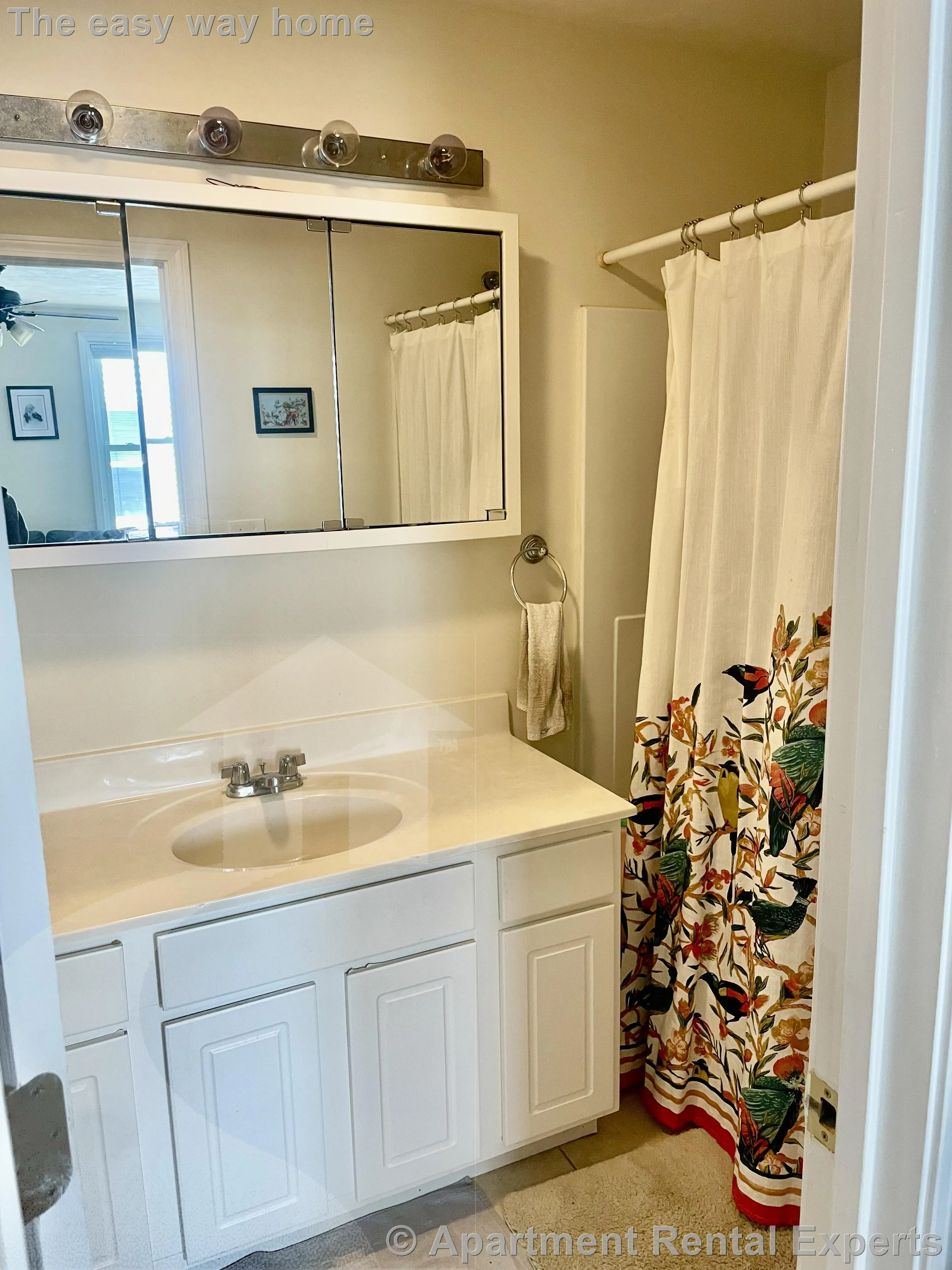 2 bed, 1 bath apartment for rent at 385 Columbia St Unit 2, Inman Square — photo 9 of 17