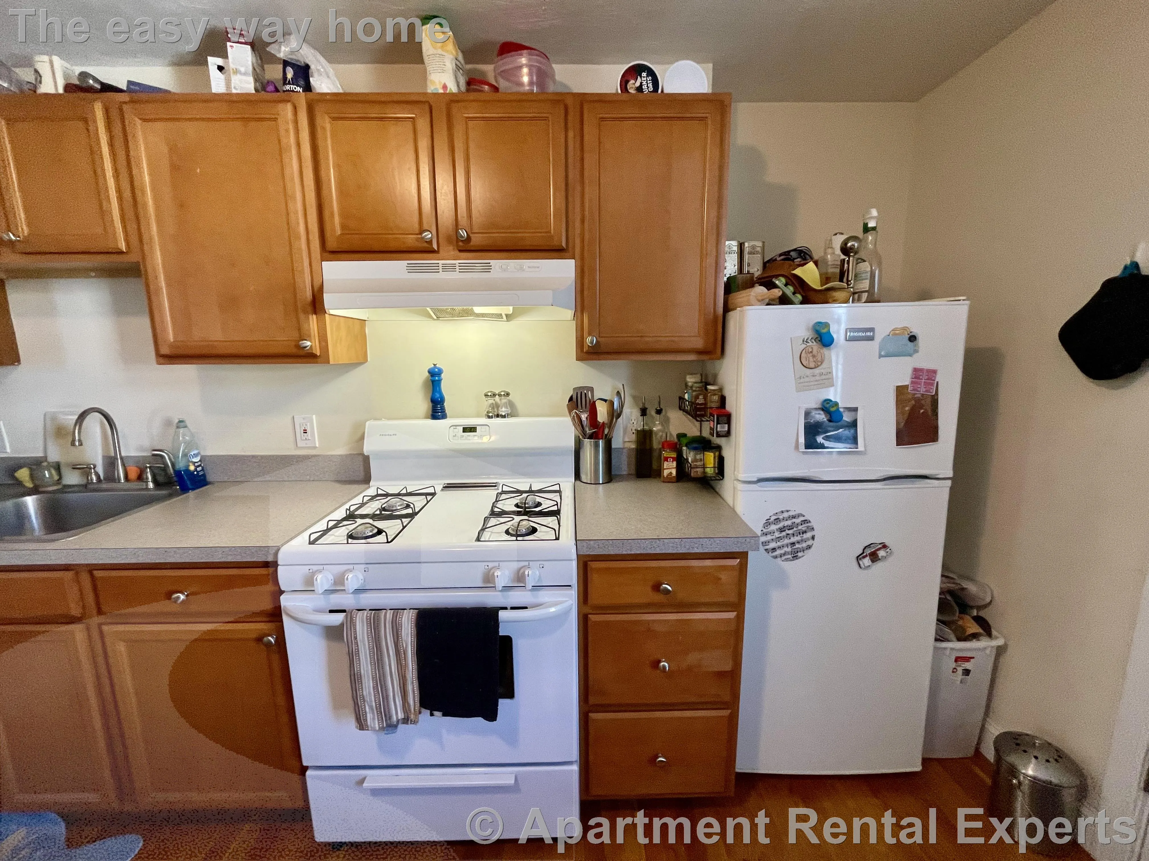 2 bed, 1 bath apartment for rent at 385 Columbia St Unit 2, Inman Square — photo 4 of 17