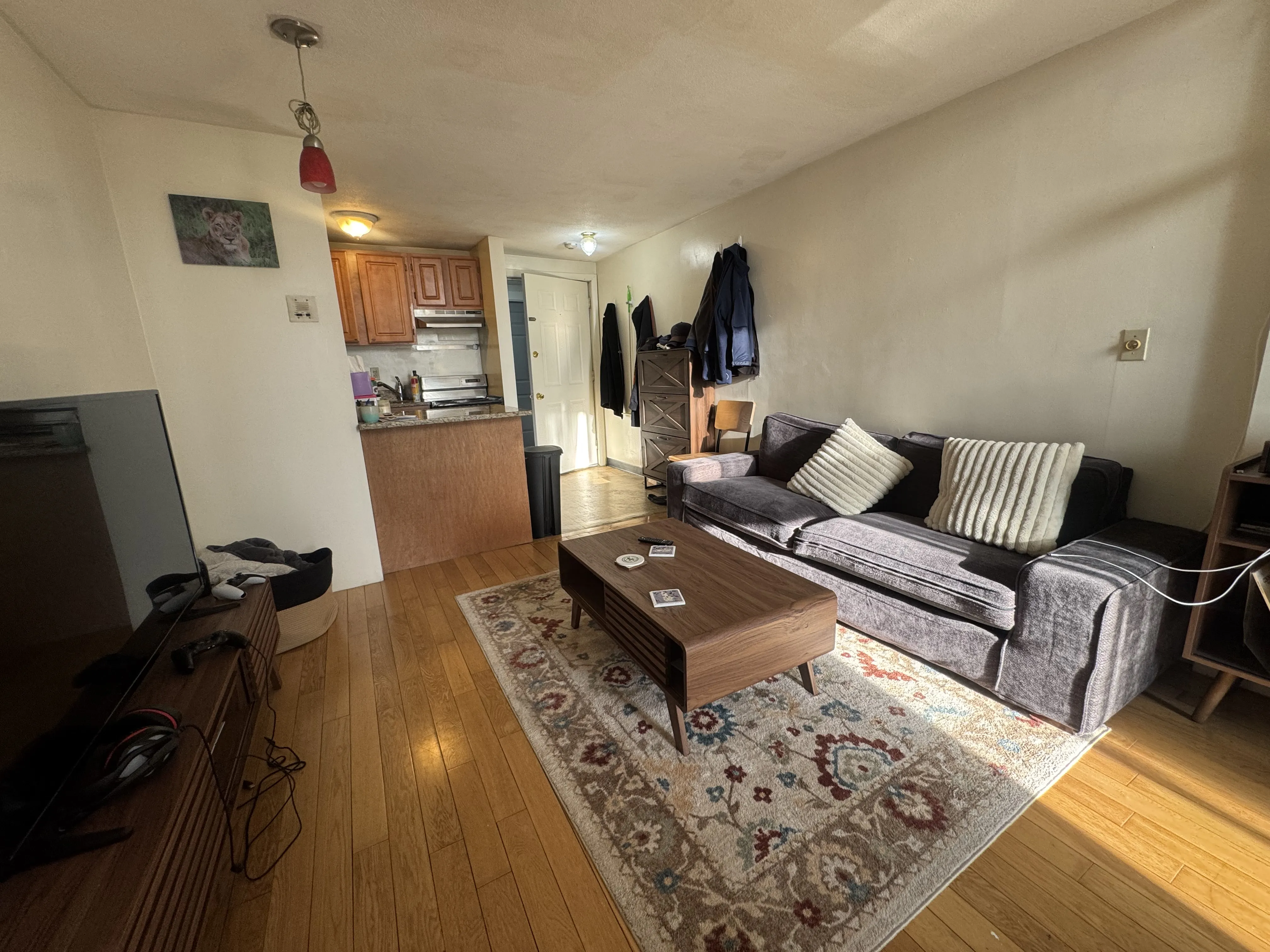 1 bed, 1 bath apartment for rent at 385 Dorchester St Unit a8, South Boston — photo 7 of 19