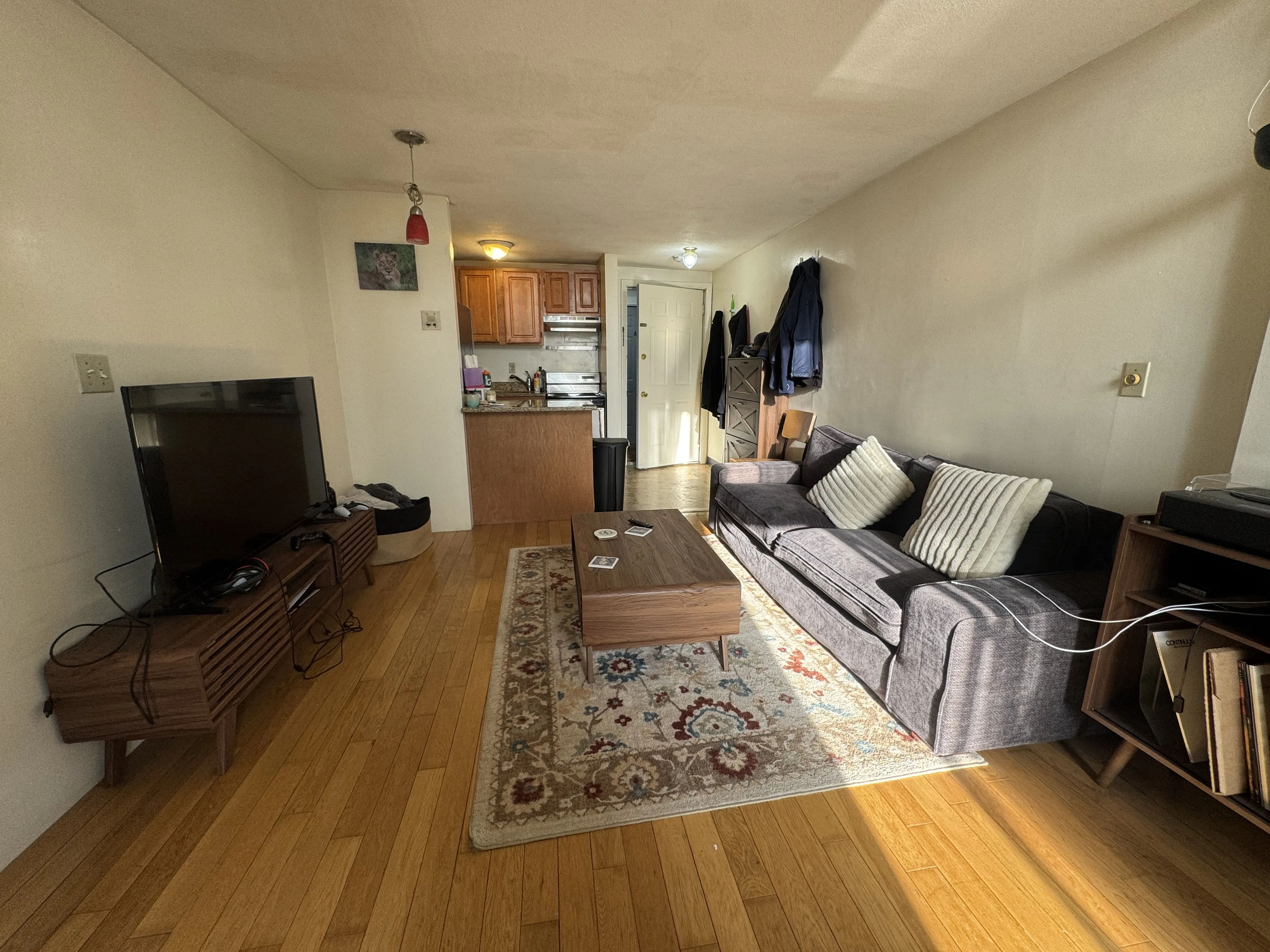 1 bed, 1 bath apartment for rent at 385 Dorchester St Unit a8, South Boston — photo 6 of 19