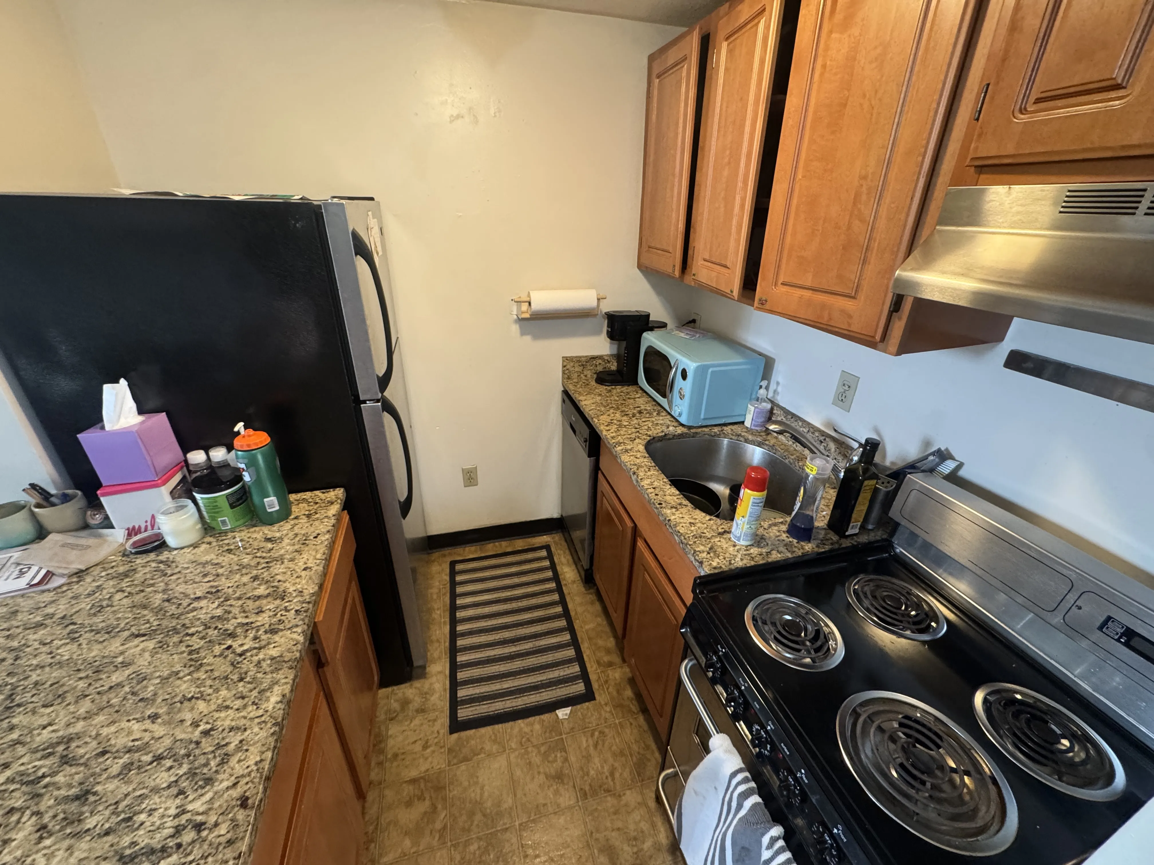 1 bed, 1 bath apartment for rent at 385 Dorchester St Unit a8, South Boston — photo 3 of 19
