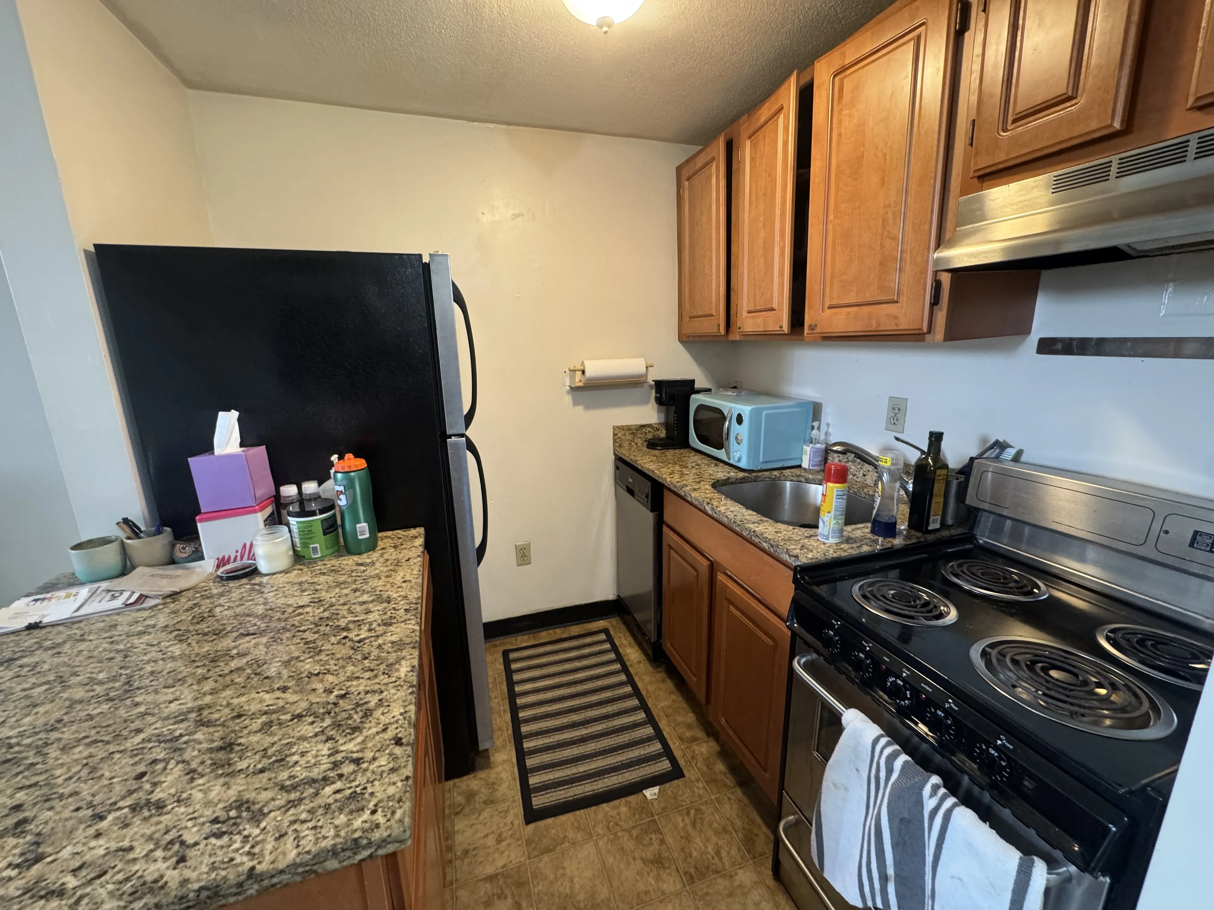 1 bed, 1 bath apartment for rent at 385 Dorchester St Unit a8, South Boston — photo 4 of 19