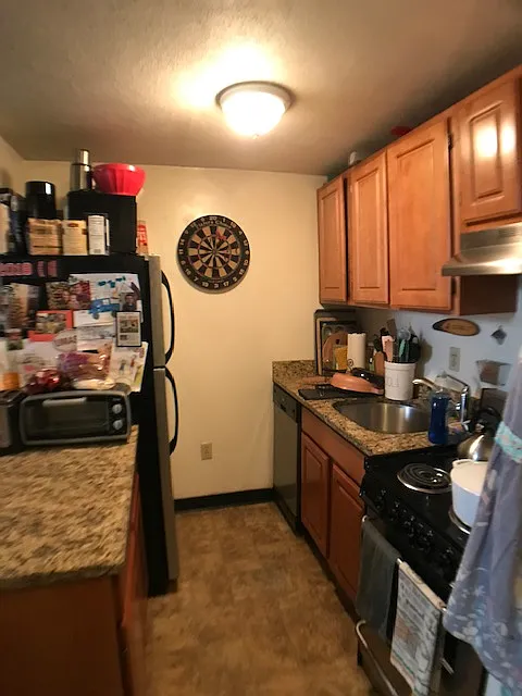 1 bed, 1 bath apartment for rent at 385 Dorchester St Unit a8, South Boston — photo 17 of 19